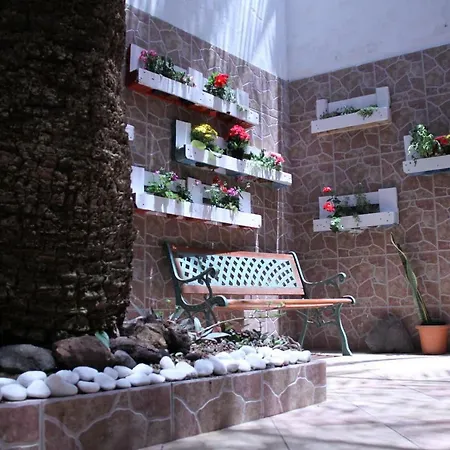 Guest house Casa The Garden Palmas 3*