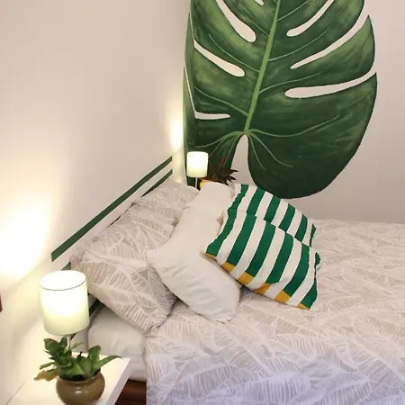 Casa The Garden Palmas Affittacamere Las Palmas de Gran Canaria