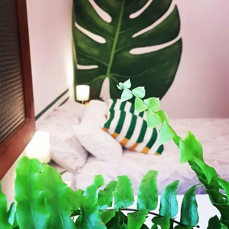 Affittacamere Casa The Garden Palmas