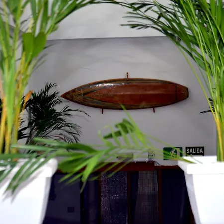 Affittacamere Casa The Garden Palmas